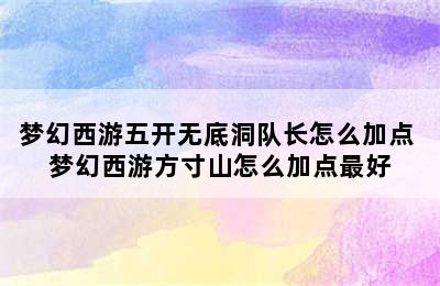 梦幻西游五开无底洞队长怎么加点 梦幻西游方寸山怎么加点最好